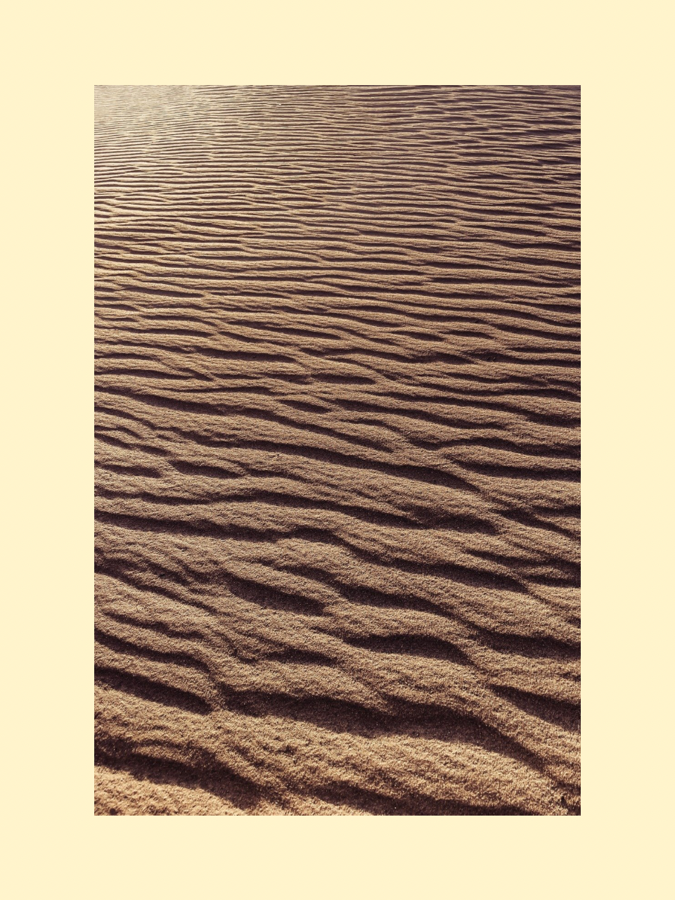Desert Waves