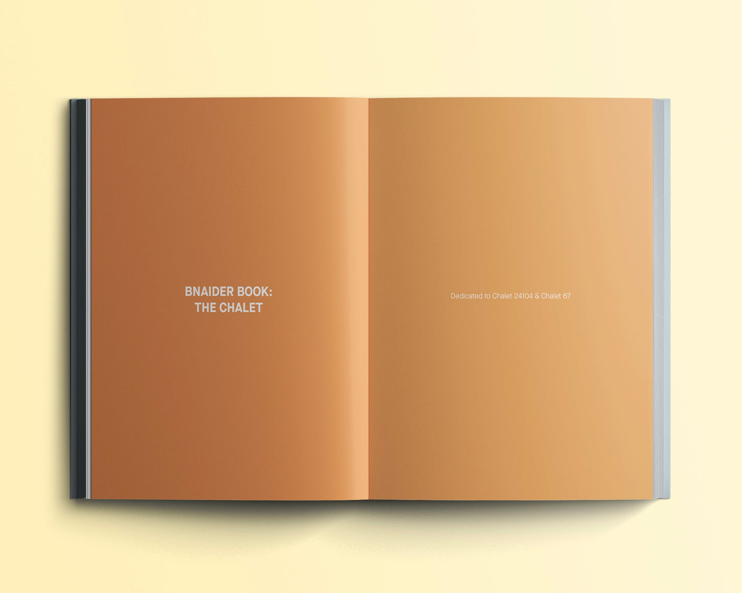 Bnaider Book - Sea